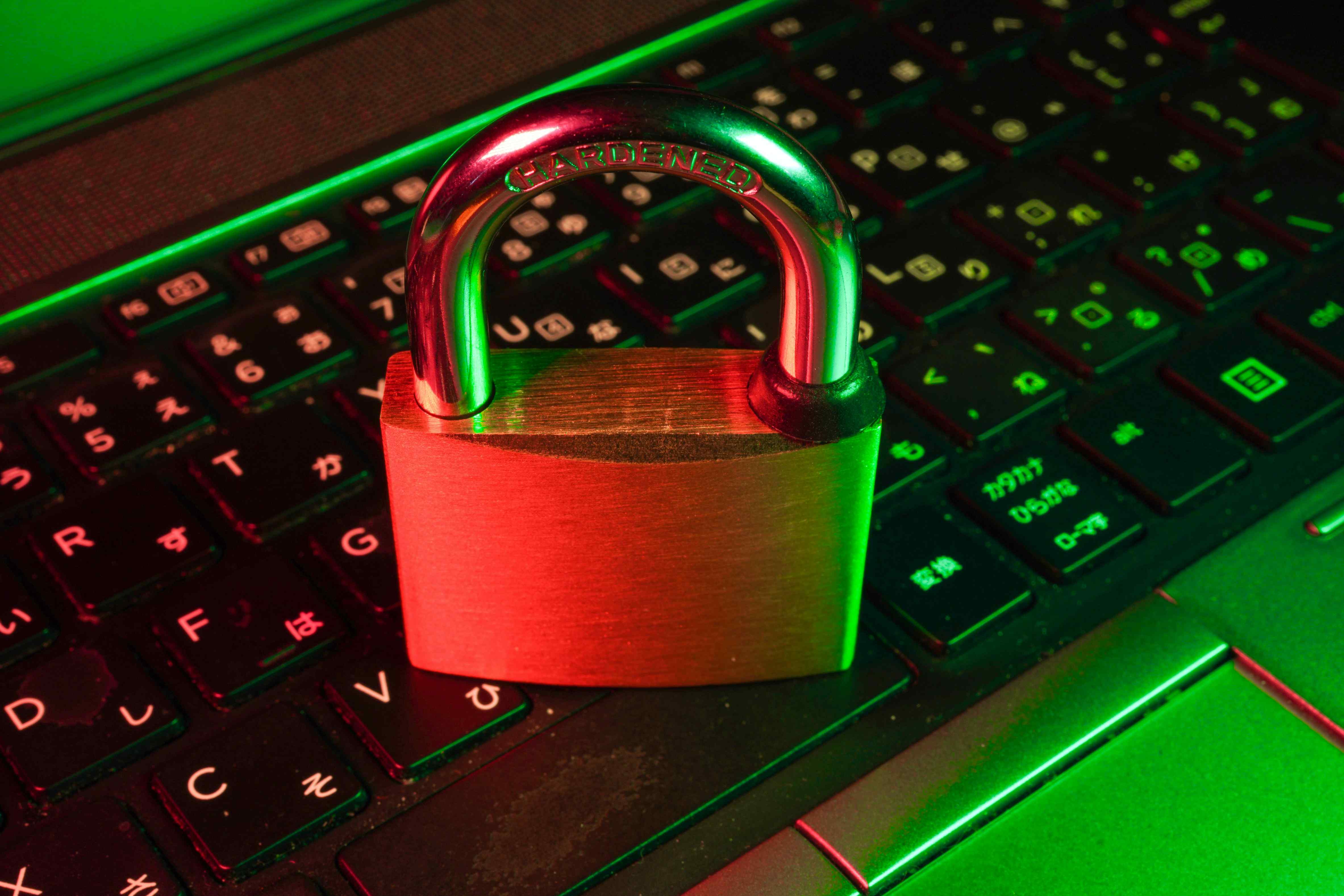 Website security with SSL certificates and encryption - Photo by FlyD on Unsplash